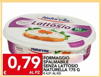 Formaggio spalmabile senza lattosio naturella