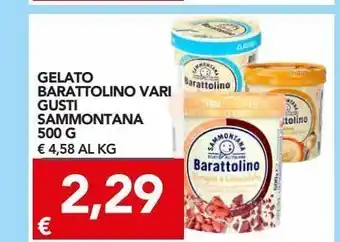 Gelato barattolino vari gusti sammontana 500 g