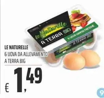 Coop Le Naturalle 6 Uova Da Allevamento A Terra Big offerta