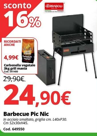 Brico Io Barbecue pic nic offerta