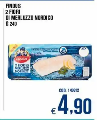 Adhoc 2 fiori di merluzzo nordico findus offerta