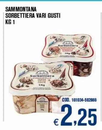 Adhoc Sorbettiera vari gusti sammontana offerta
