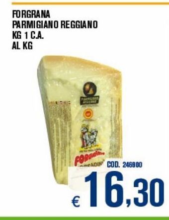 Adhoc Parmigiano reggiano forgrana offerta