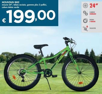 Mountain bike