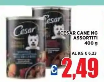 Vivo Supermercati Cesar Cane Ng Assortiti 400 g offerta