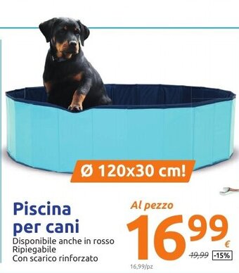 Action Piscina per cani offerta
