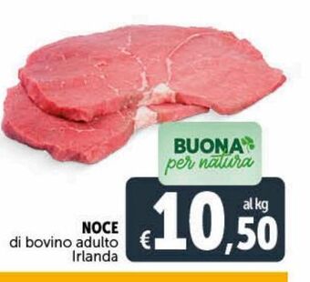 Deco Superstore Nce di bovino adulto irlanda offerta