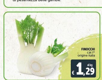 Deco Superstore Finocchi offerta