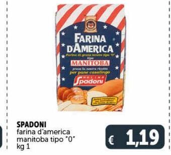 Farina d'america manitoba tipo "0" spadoni