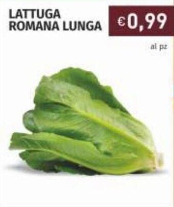 Lattuga Romana Lunga