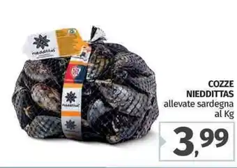 Pam Cozze Nieddittas offerta