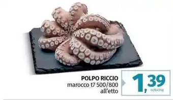 Pam Polpo Riccio offerta