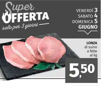 Pam Lonza offerta