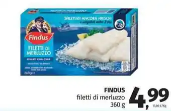 Pam Findus filetti di merluzzo 360 g offerta