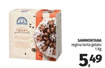 Pam Sammontana regina torta gelato 1 kg offerta