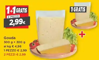 DPiù Gouda 300g offerta