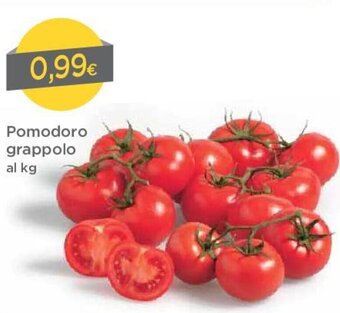 DPiù Pomodoro Grappolo offerta