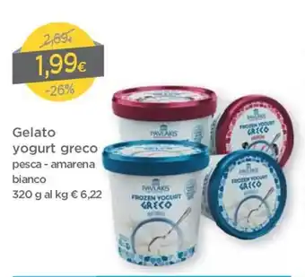 DPiù Gelato Yogurt Greco 320g offerta