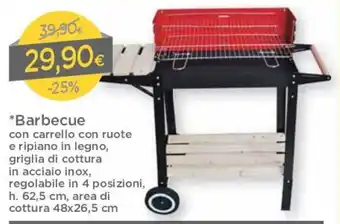DPiù Barbecue 48x26,5cm offerta