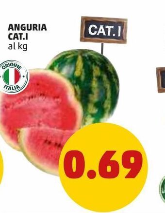 PENNY Anguria cat.i offerta