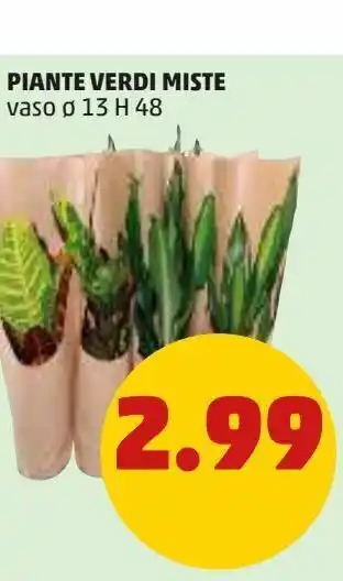 Piante verdi miste