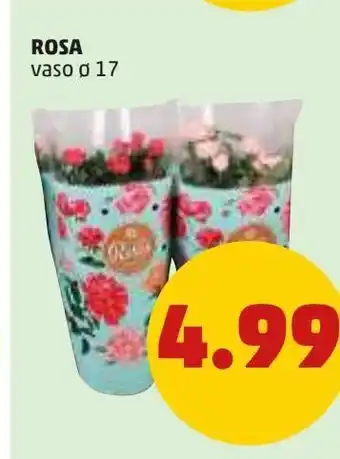 PENNY Rosa vaso 17 offerta