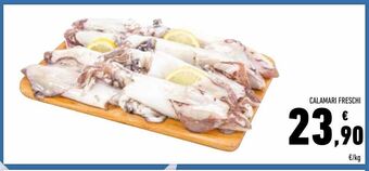 Conad Calamari freschi offerta