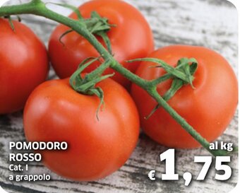 Pomodoro Rosso a Grappolo