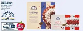 Esselunga Sammontana Torta Gelato 750 g o 500 g offerta