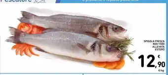 Spazio Conad Spigola fresca 800/1000 allevata estero offerta