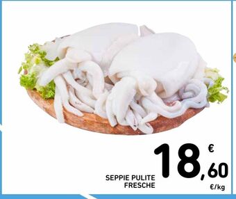 Seppie pulite fresche