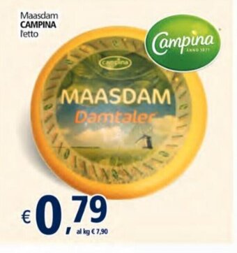 Alter Discount Campina Maasdam offerta