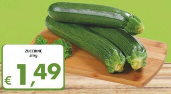 Alter Discount Zucchine offerta