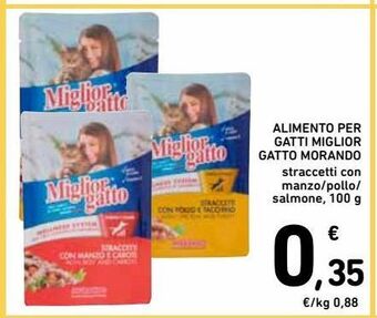 Alimento per gatti miglior gatto morando