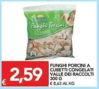 TuoDi Valle dei Raccolti Funghi Porcini A Cubetti Congelati 300g offerta