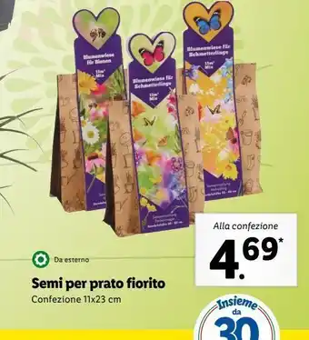 Semi di prato fiorito