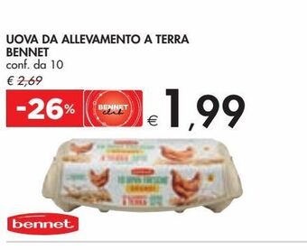 Bennet Uova da allevamento a terra bennet conf 10 offerta
