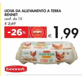 Bennet Uova da allevamento a terra bennet conf 10 offerta