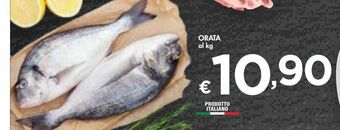 Bennet Orata al kg offerta