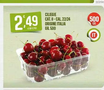 Eurospar Ciliegie cat ii - cal 22/24 origine italia gr 500 offerta