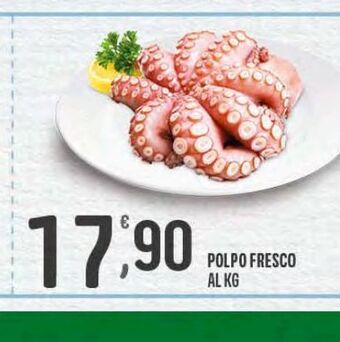 Polpo fresco al kg
