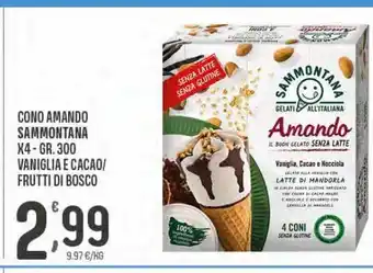 Eurospar Cono amando sammontana x 4 gr 300 vaniglia e cacao / frutti di bosco offerta