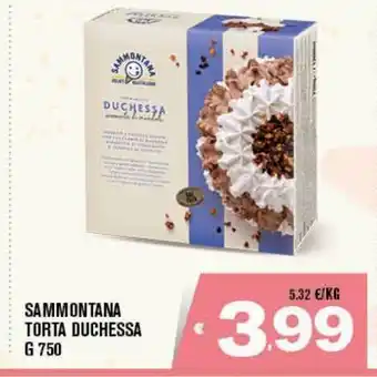 Deco Superfreddo Sammontana torta duchessa offerta