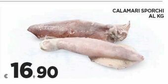 Calamari sporchi