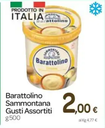 Sammontana Barattolino Gusti Assortiti 500g