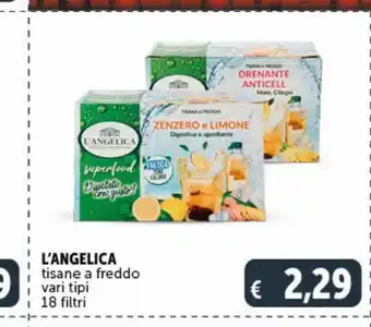 Deco Superstore L'angelica tisane a freddo vari tipi 18 filtri offerta