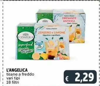 Deco Maxistore Tisane a freddo vari tipi l'angelica offerta