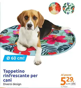 Action Tappetino rinfrescante per cani Ø 60 cm! offerta