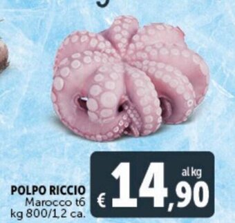 Deco Supermercati Polpo riccio 800 kg/1,2 ca. offerta
