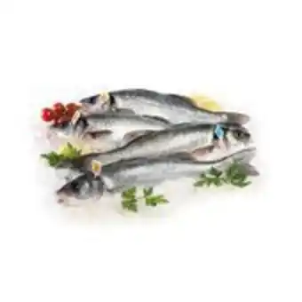 Basko branzino